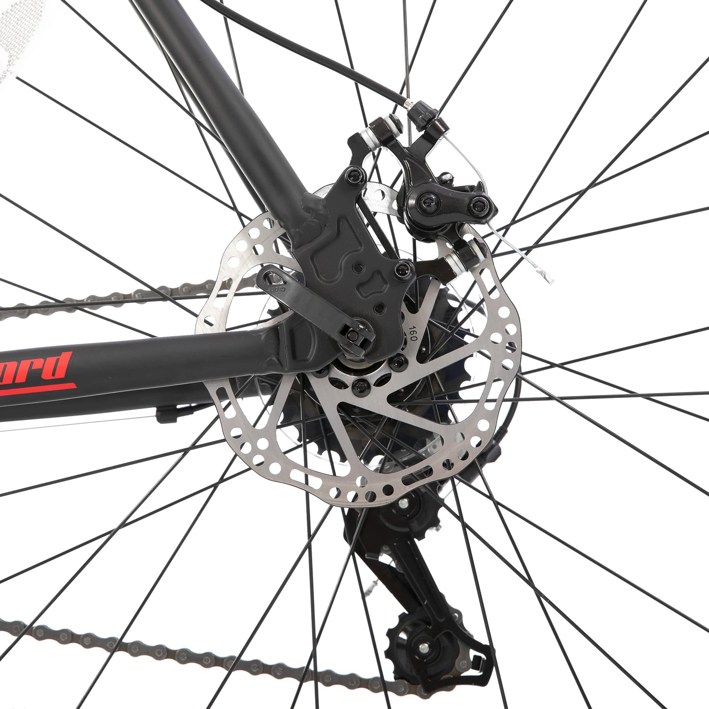 Road-Racing Bike, 14 Speeds, Aluminum Frame for Men Women